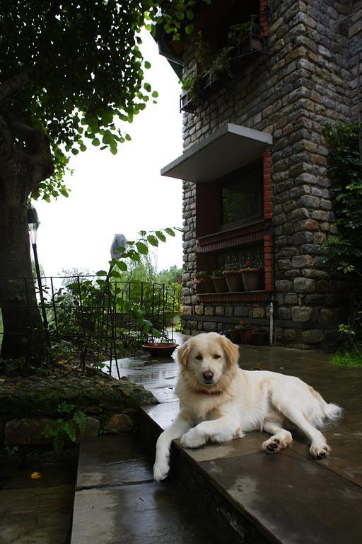 Saffronstays Himalaica, Nainital Bhowali Exterior photo